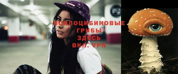 СК Губаха