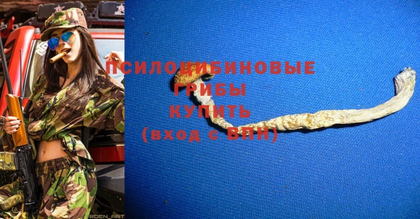 марки nbome Нязепетровск