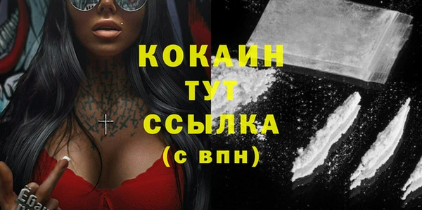 твердый Грязи