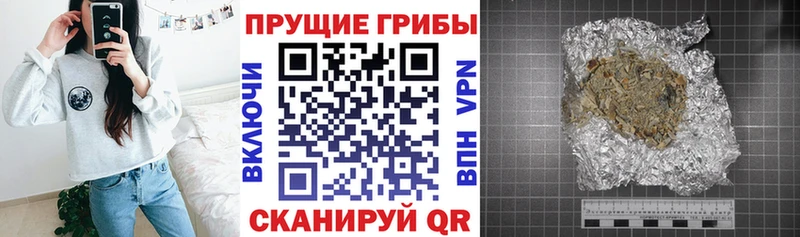 гидра рабочий сайт  Старица  Галлюциногенные грибы Cubensis 